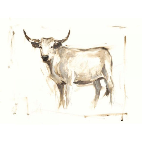 White Cattle II Black Modern Wood Framed Art Print with Double Matting by Harper, Ethan