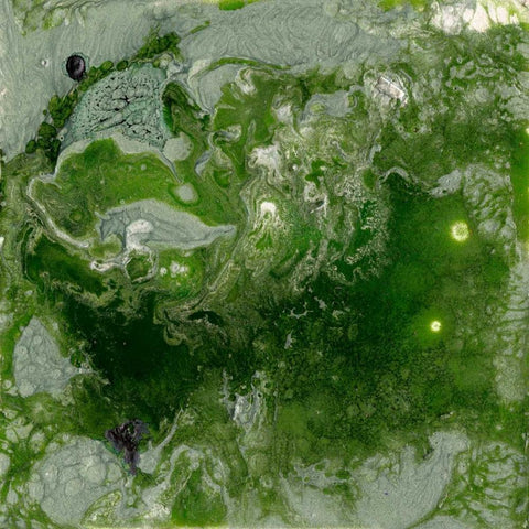 Pangaea I Black Modern Wood Framed Art Print with Double Matting by Ludwig, Alicia