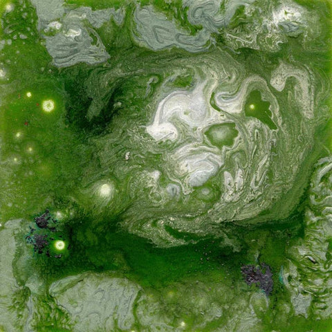 Pangaea II White Modern Wood Framed Art Print by Ludwig, Alicia