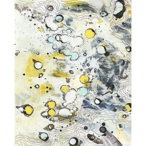 Topo II Black Modern Wood Framed Art Print by Fuchs, Jodi