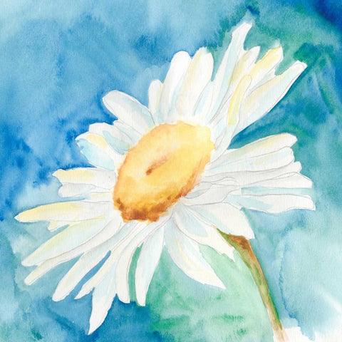 Daisy Sunshine I Black Ornate Wood Framed Art Print with Double Matting by Moore, Regina