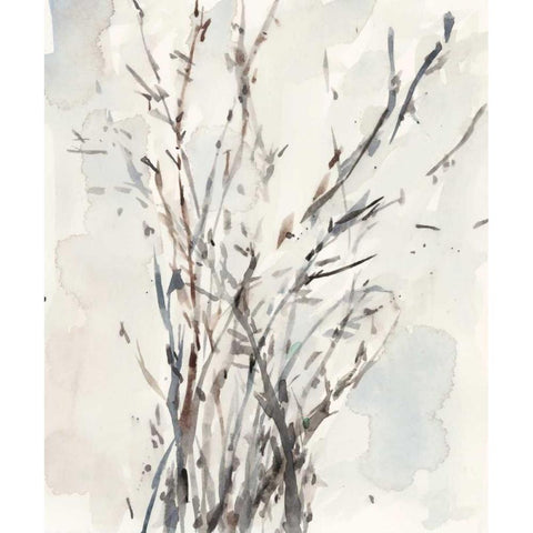 Watercolor Branches I Gold Ornate Wood Framed Art Print with Double Matting by Dixon, Samuel