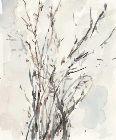 Watercolor Branches I Black Ornate Wood Framed Art Print with Double Matting by Dixon, Samuel