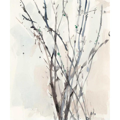 Watercolor Branches II Black Modern Wood Framed Art Print with Double Matting by Dixon, Samuel