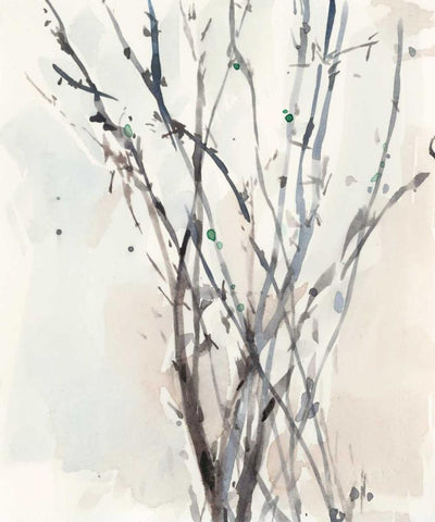 Watercolor Branches II White Modern Wood Framed Art Print with Double Matting by Dixon, Samuel