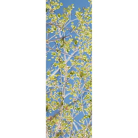 Spring Poplars I Black Modern Wood Framed Art Print by Chandler, Sharon