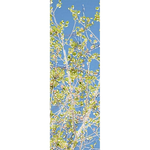 Spring Poplars II Gold Ornate Wood Framed Art Print with Double Matting by Chandler, Sharon