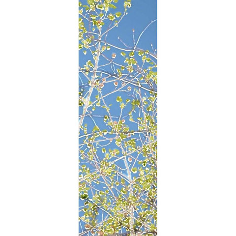 Spring Poplars III White Modern Wood Framed Art Print by Chandler, Sharon