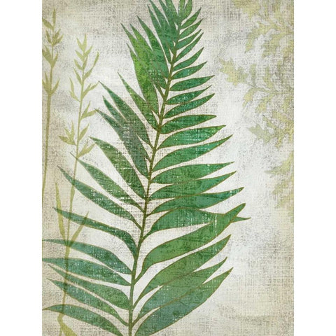 Frond I Black Modern Wood Framed Art Print by Zarris, Chariklia