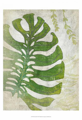 Frond III White Modern Wood Framed Art Print with Double Matting by Zarris, Chariklia