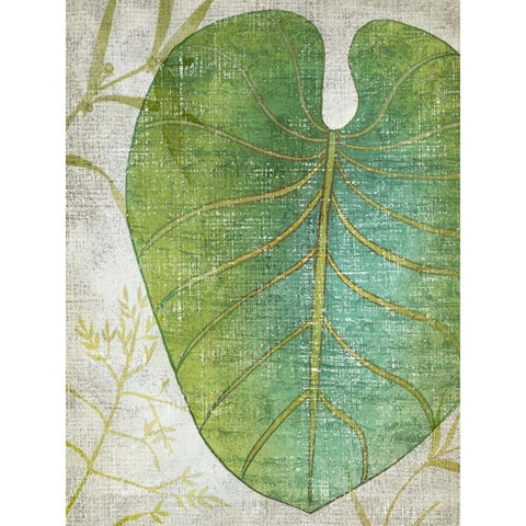 Frond IV Black Modern Wood Framed Art Print with Double Matting by Zarris, Chariklia