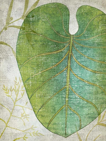 Frond IV Black Ornate Wood Framed Art Print with Double Matting by Zarris, Chariklia