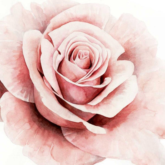 Image Only