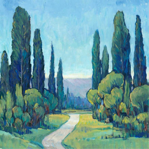 Cypress Path I White Modern Wood Framed Art Print with Double Matting by OToole, Tim