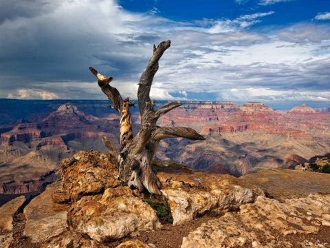 Canyon View V Black Ornate Wood Framed Art Print with Double Matting by Drost, David