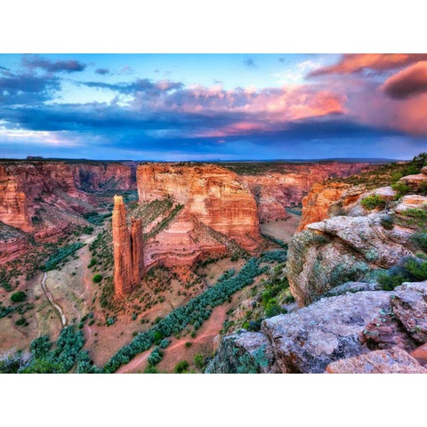 Canyon View VIII Gold Ornate Wood Framed Art Print with Double Matting by Drost, David