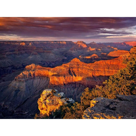 Canyon View X Black Modern Wood Framed Art Print by Drost, David