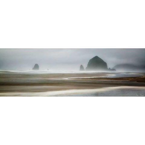 From Cannon Beach I Black Modern Wood Framed Art Print by Drost, David