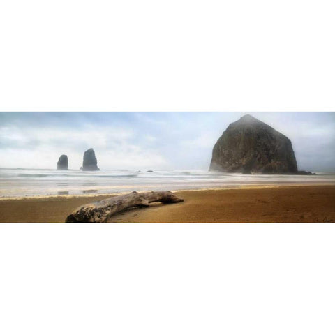 From Cannon Beach II Black Modern Wood Framed Art Print with Double Matting by Drost, David