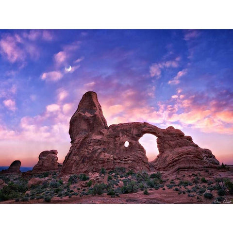 Sunset in the Desert I Gold Ornate Wood Framed Art Print with Double Matting by Drost, David