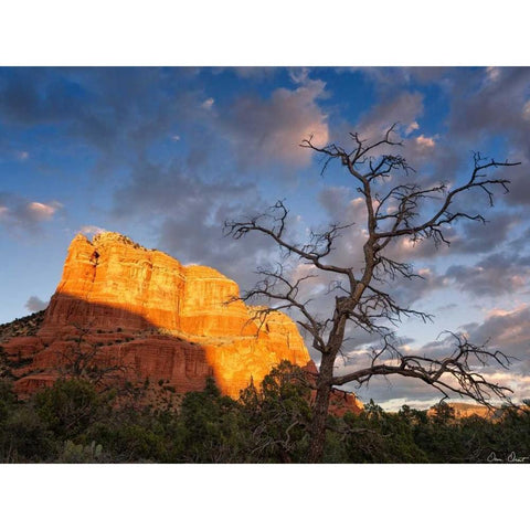 Sunset in the Desert II Black Modern Wood Framed Art Print with Double Matting by Drost, David