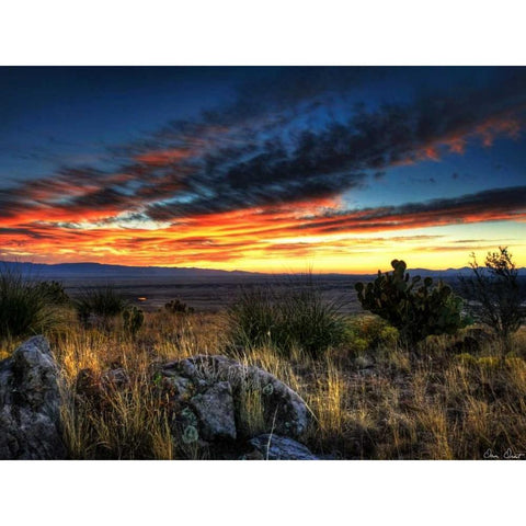 Sunset in the Desert IV Black Modern Wood Framed Art Print by Drost, David