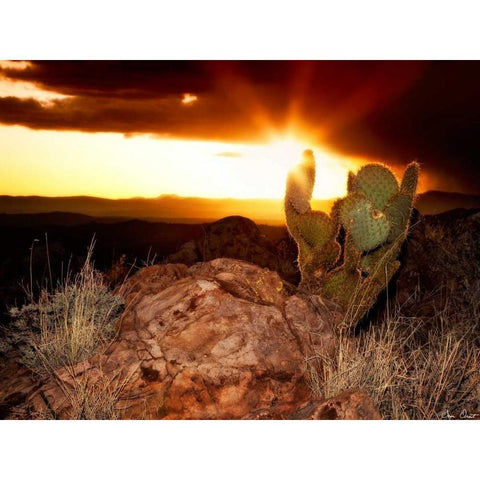 Sunset in the Desert V Black Modern Wood Framed Art Print by Drost, David