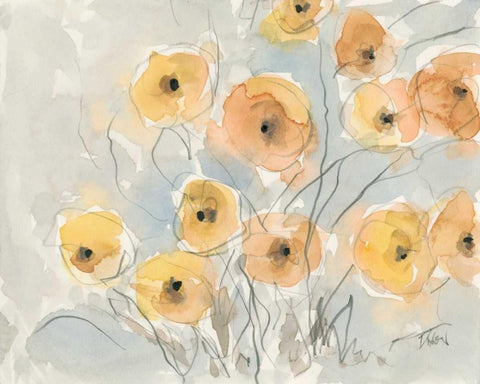 Sunset Poppies I White Modern Wood Framed Art Print with Double Matting by Dixon, Samuel
