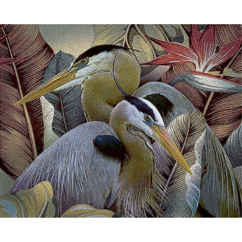 Two to Tango White Modern Wood Framed Art Print by Hunziker, Steve