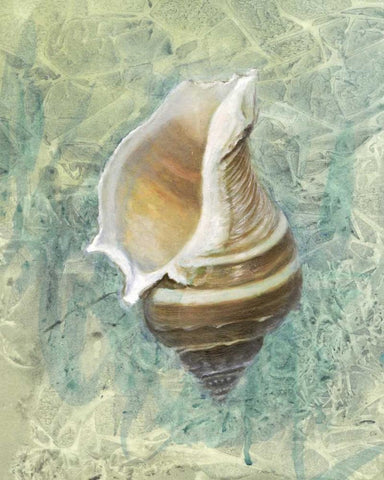 Calling from the Sea I White Modern Wood Framed Art Print with Double Matting by Brothers, Bonnec