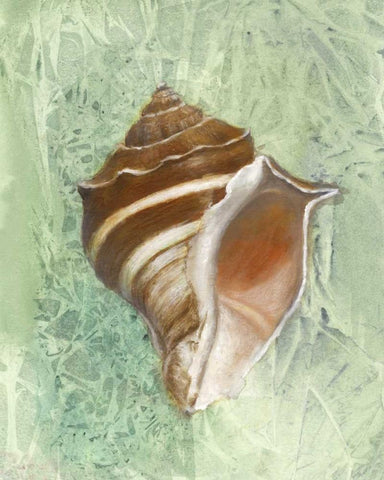 Calling from the Sea II Black Ornate Wood Framed Art Print with Double Matting by Brothers, Bonnec