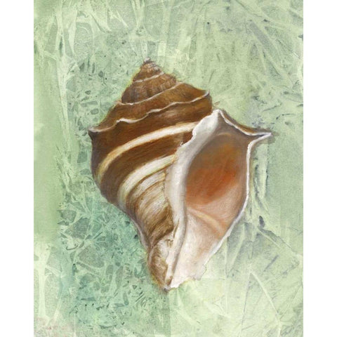 Calling from the Sea II White Modern Wood Framed Art Print by Brothers, Bonnec