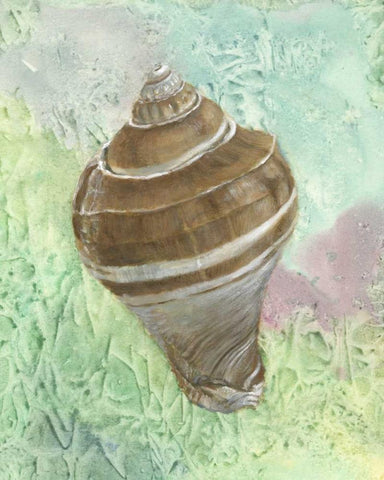 Calling from the Sea IV Black Ornate Wood Framed Art Print with Double Matting by Brothers, Bonnec