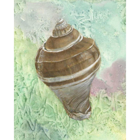 Calling from the Sea IV White Modern Wood Framed Art Print by Brothers, Bonnec