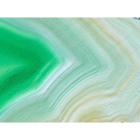 Level III Black Modern Wood Framed Art Print by Hartson-Weddle, Ryan