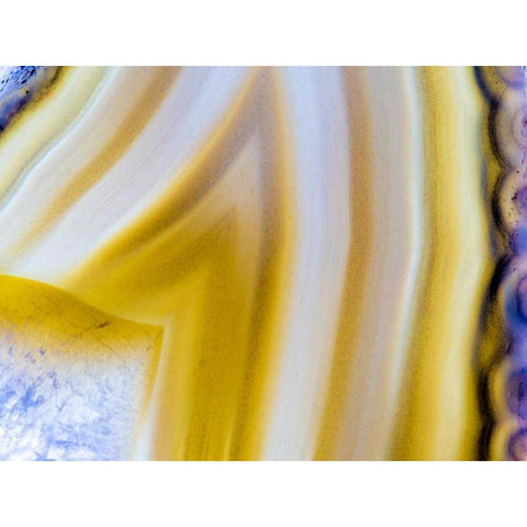 Level VIII Black Modern Wood Framed Art Print by Hartson-Weddle, Ryan