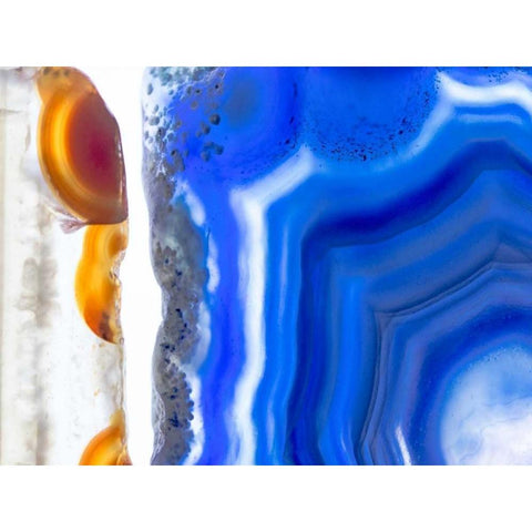 Level X White Modern Wood Framed Art Print by Hartson-Weddle, Ryan