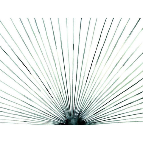 Strobe I Black Modern Wood Framed Art Print by Popp, Grace