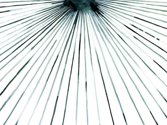 Image Only