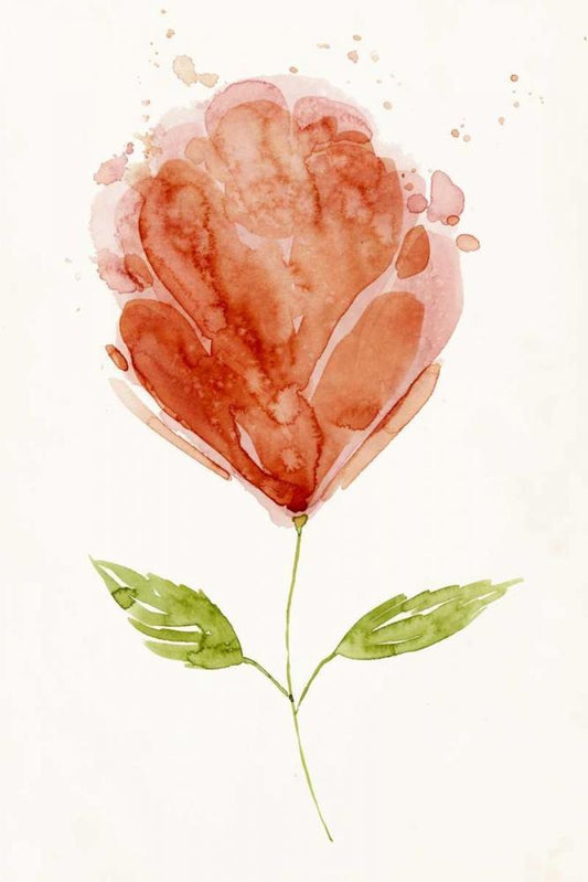 Image Only