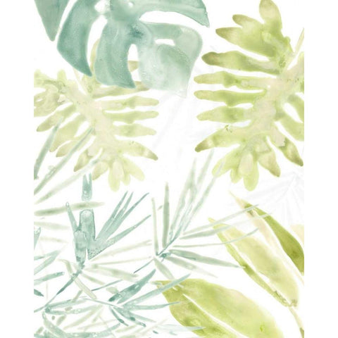 Island Medley I Black Modern Wood Framed Art Print with Double Matting by Vess, June Erica