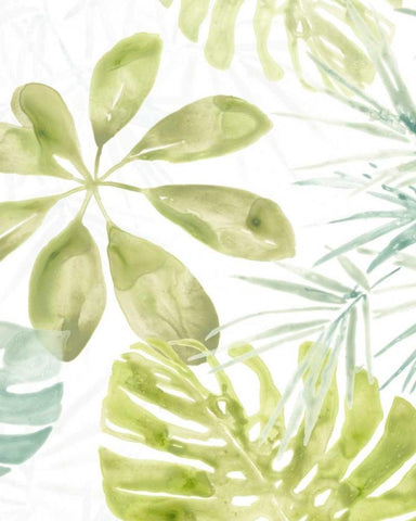 Island Medley II Black Ornate Wood Framed Art Print with Double Matting by Vess, June Erica