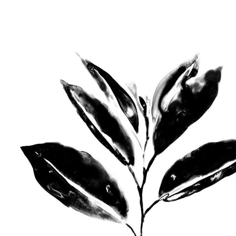 Monochrome Tropic IV Black Modern Wood Framed Art Print with Double Matting by Vess, June Erica