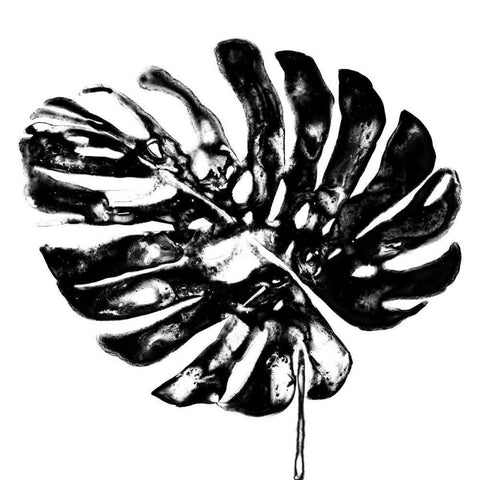 Monochrome Tropic V Black Modern Wood Framed Art Print with Double Matting by Vess, June Erica