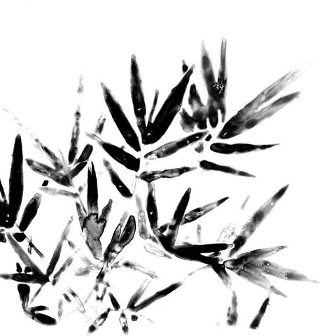 Monochrome Tropic VIII Black Ornate Wood Framed Art Print with Double Matting by Vess, June Erica