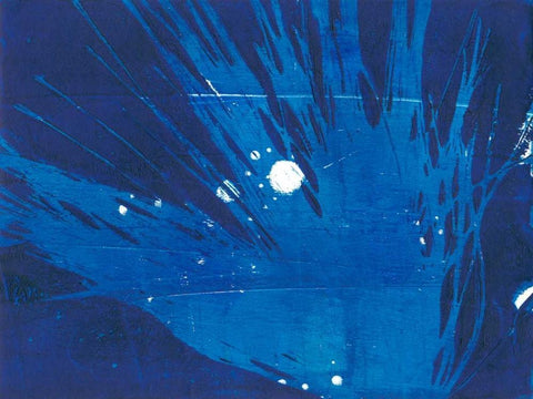 Indigo Burst I Black Ornate Wood Framed Art Print with Double Matting by Moore, Regina