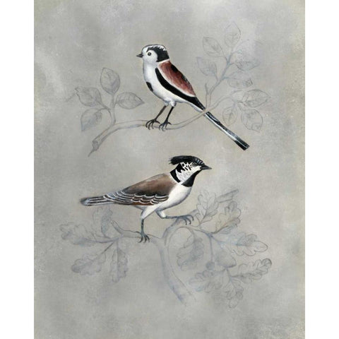 Silvered Aviary IV Black Modern Wood Framed Art Print by McCavitt, Naomi