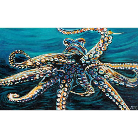 Wild Octopus II Black Modern Wood Framed Art Print with Double Matting by Vitaletti, Carolee