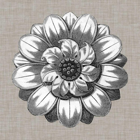 Neutral Rosette Detail IV White Modern Wood Framed Art Print with Double Matting by Vision Studio