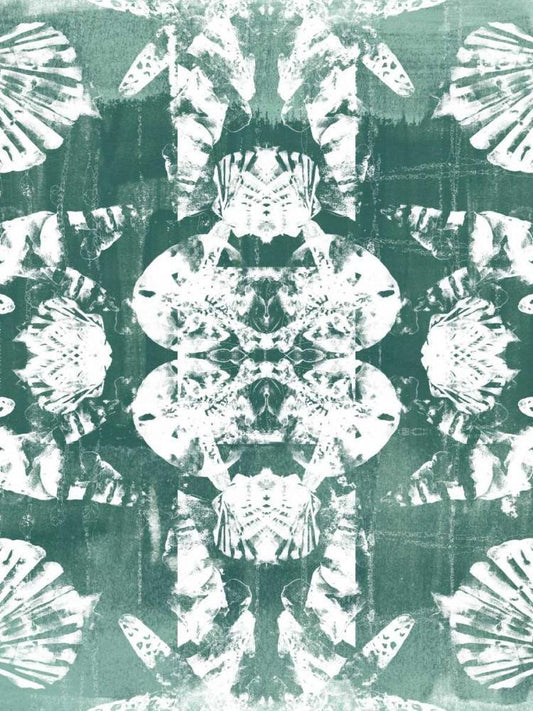 Image Only